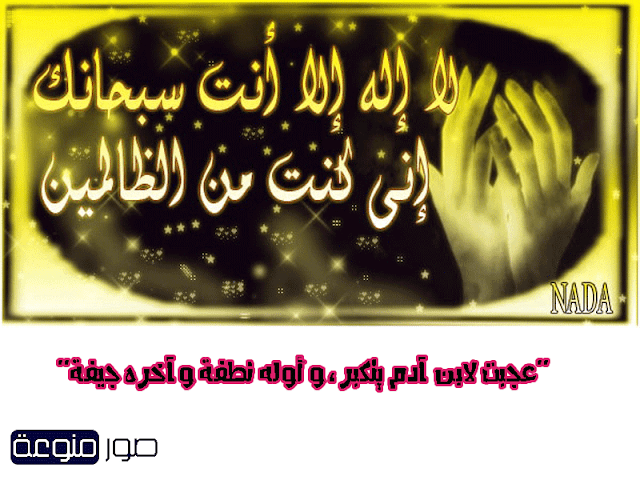 حكم منسوبة للامام علي