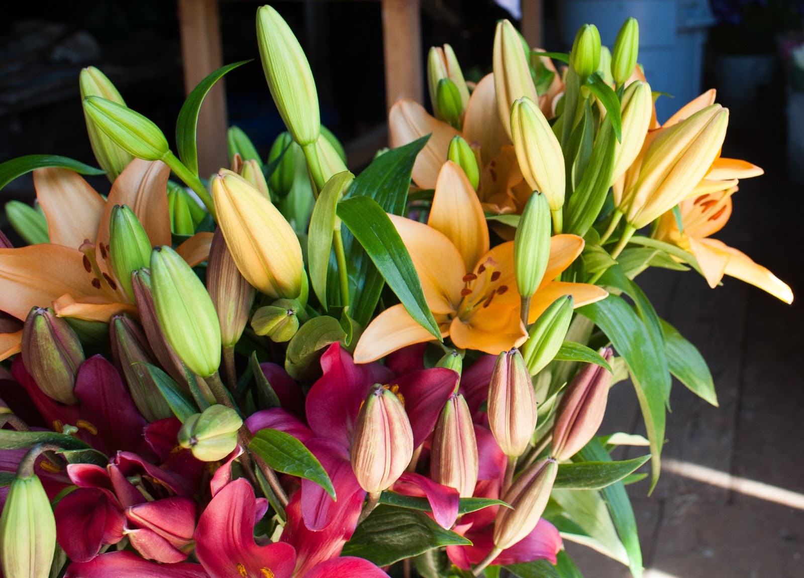 Why Royal Lilies are the Perfect Flowers For Mother's Day Sun Valley