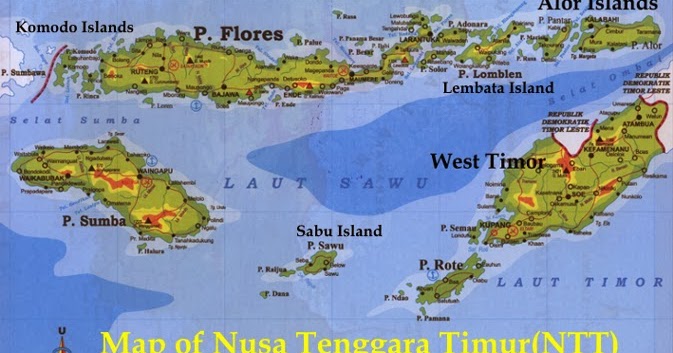 5 Provinsi di Indonesia yang Berbatasan Darat dengan ...