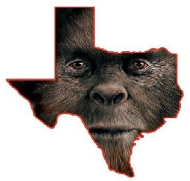 Texas bigfoot