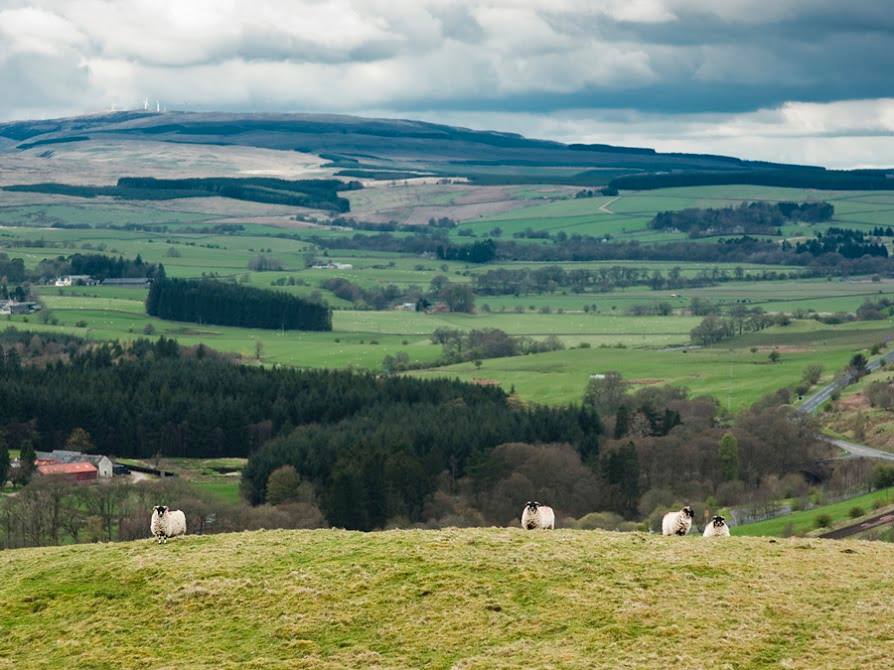Newark Farm, Sanquhar, Dumfries & Galloway www.aroundaboutbritain.co.uk