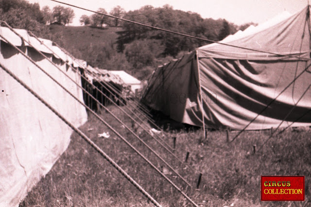 Les tentes écuries des chevaux et des éléphants du Cirque Franz Althoff 1967