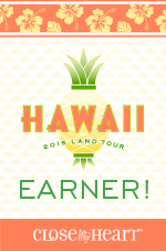I EARNED the Hawaii Land Tour!!