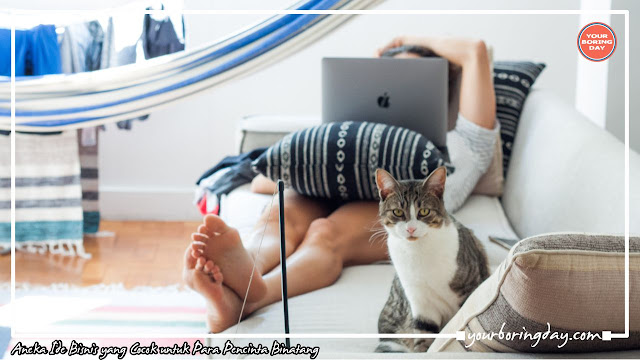 Aneka Ide Bisnis yang Cocok untuk Para Pencinta Binatang Kucing