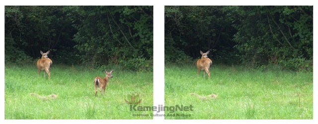 6 Foto Hasil Manipulasi Dengan Content Aware Photoshop 6 Foto Hasil Manipulasi Dengan Content Aware Photoshop