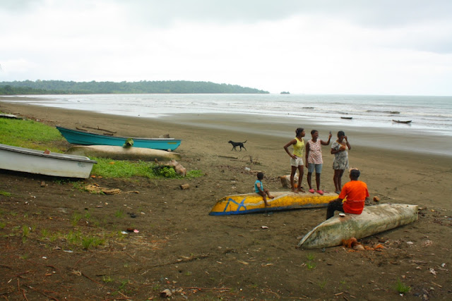Où dorment les mésanges quand il fait très froid ?