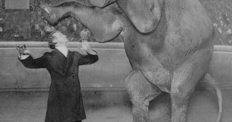 Wild About Harry 100 Years Ago Houdini Vanished An Elephant