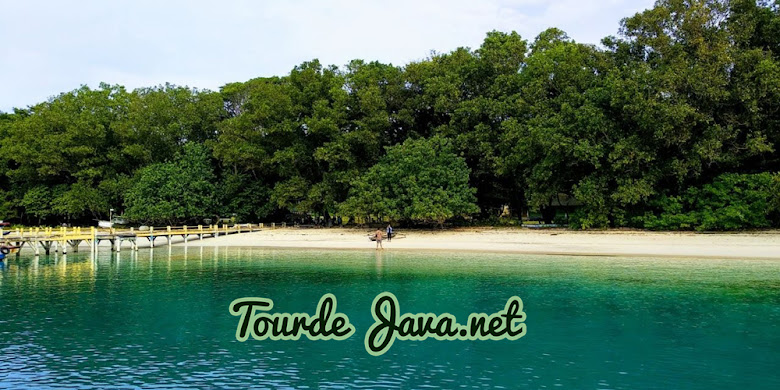 Wisata Pulau Peucang Ujung Kulon pulau peucang menjadi tujuan pertama dalam wisata ujung kulon