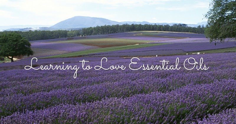 {Guest Post} Learning to Love Essential Oils | THRIVING WIVES