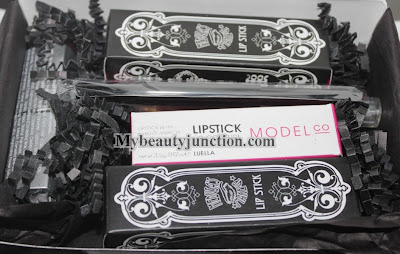 Lip Factory November 2013 all-lips beauty box review, unboxing, photos