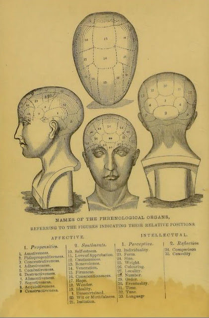 Phrenology by Orson Squire Fowler Phrenology by Orson Squire Fowler