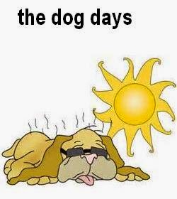Dog Days Of Summer Idiom Meaning Dog Days Of Summer Idiom Meaning