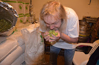 Hoppy Sniffing the Hops