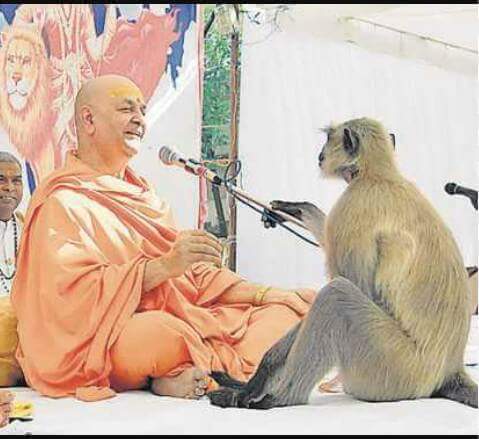 ram-katha-joined-by-a-monkey-राम कथा में शामिल हुआ वानर, कथा वाचक को दिया आशीर्वाद 