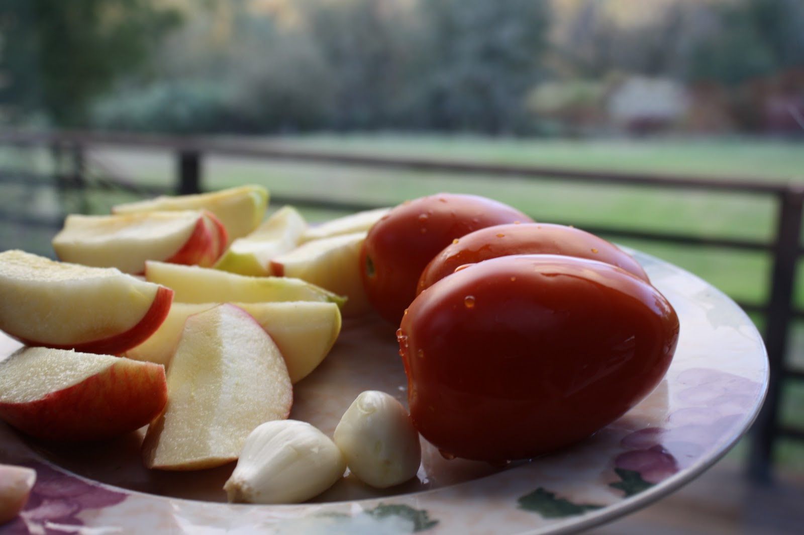 JUICED ALIVE Garlic + Tomatoes + Apple Juice