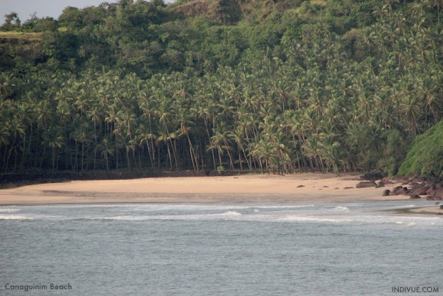 Canaguinim Beach, Goa, Intia