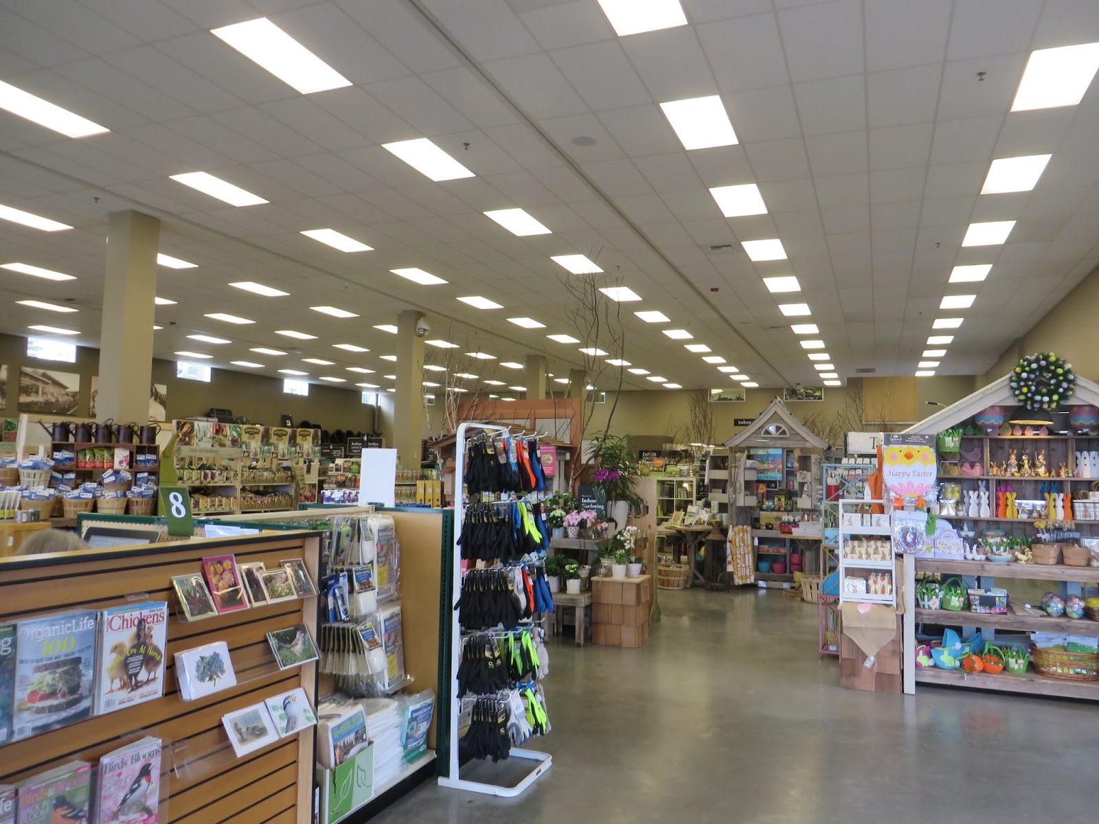 Nursery Visit Sky Nursery Seattle