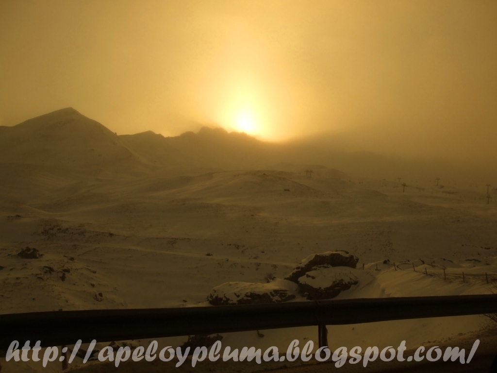 A pelo y pluma Flyfishing blog No trout, only coffee