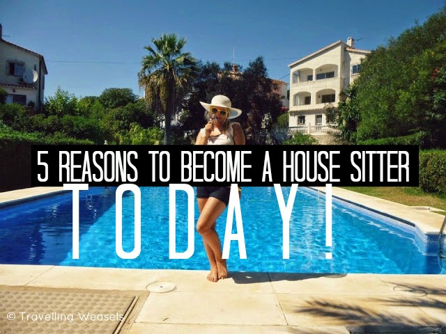 5 reasons to become a house sitter today travelling weasels free house sitter