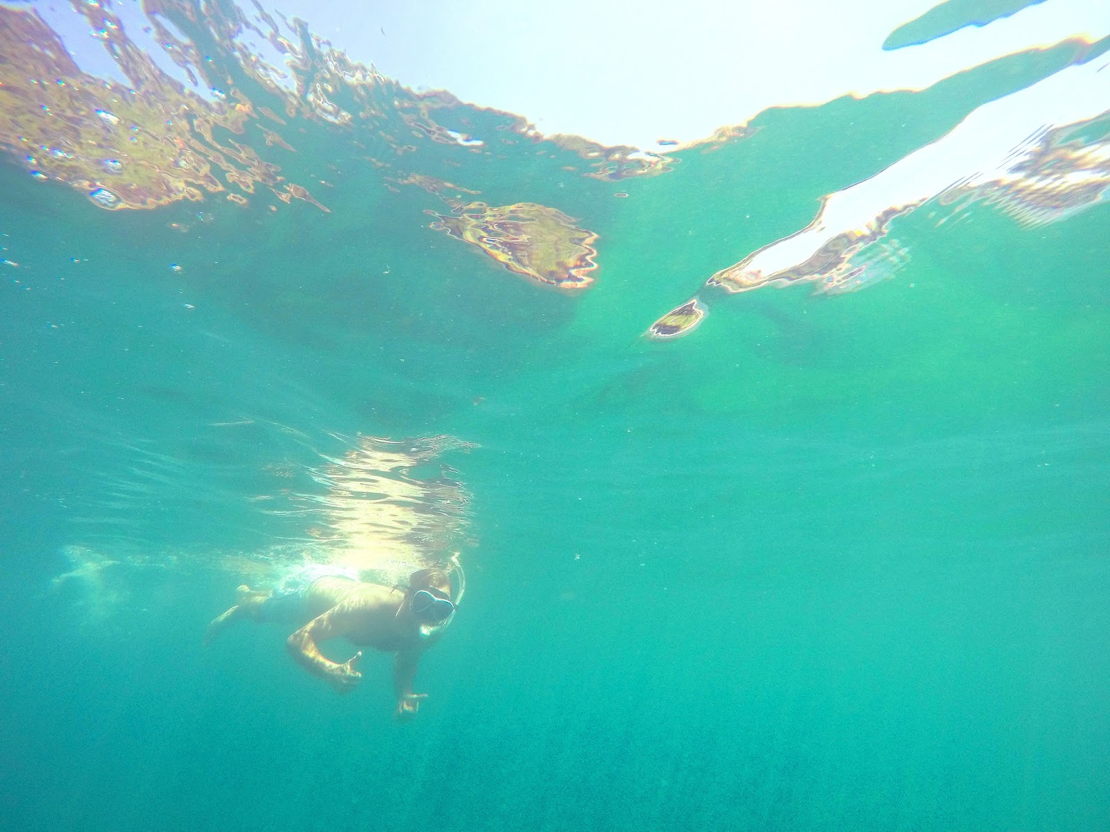 The secluded Gordons Bay in Sydney has been voted one of the best snorkelling spots in the city and for a good reason. Click to read more.