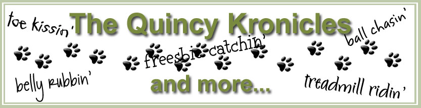 The Quincy Kronicles and More...