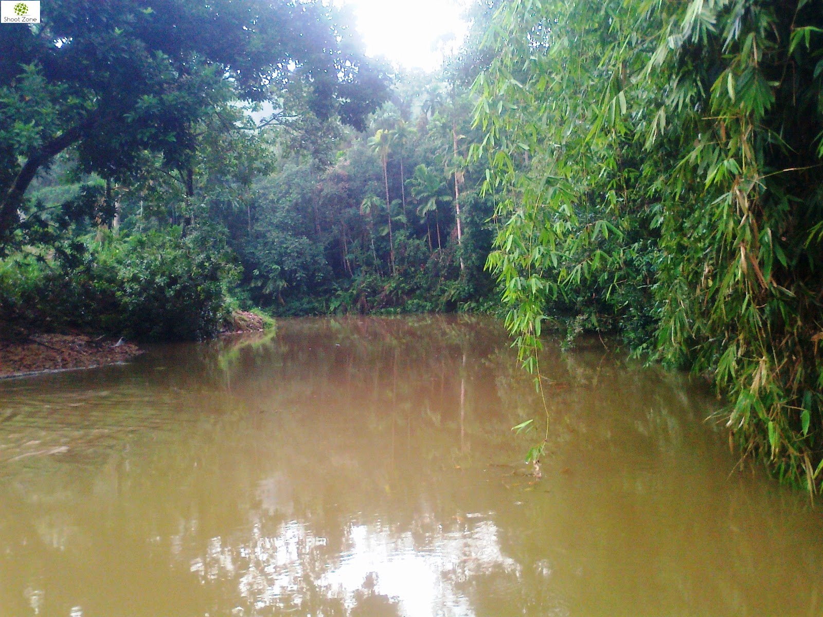 Gin Ganga Nature Photography