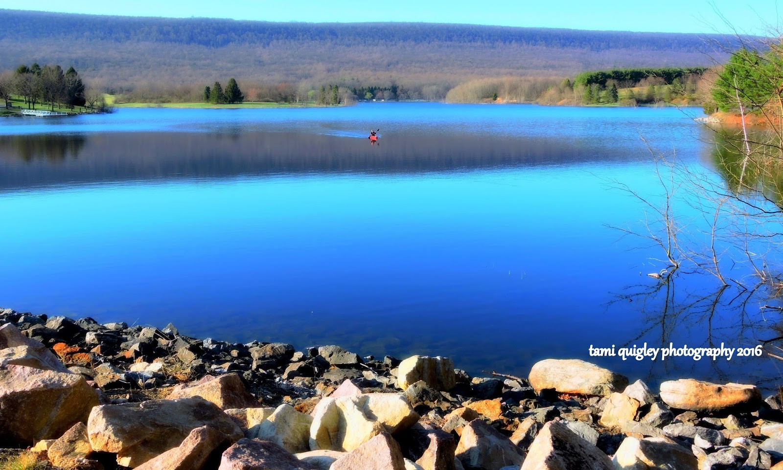 Trailscapes Fine Art Photography by Tami Quigley Early Spring On