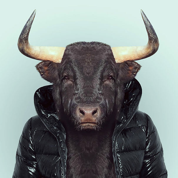 36 Adorable Portraits Of Baby Animals Dressed Like Humans 36 Adorable Portraits Of Baby Animals Dressed Like Humans