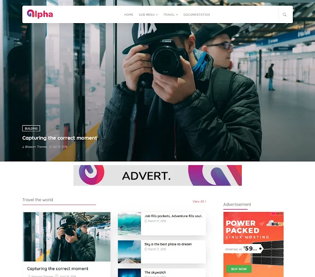 Download Alpha Blogger Theme Template