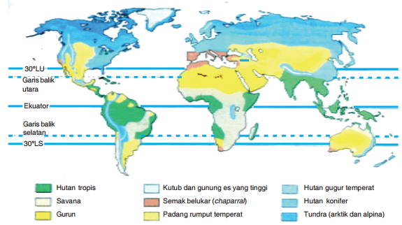82+ Gambar Flora Dan Fauna Bioma Hutan Gugur Terbaik