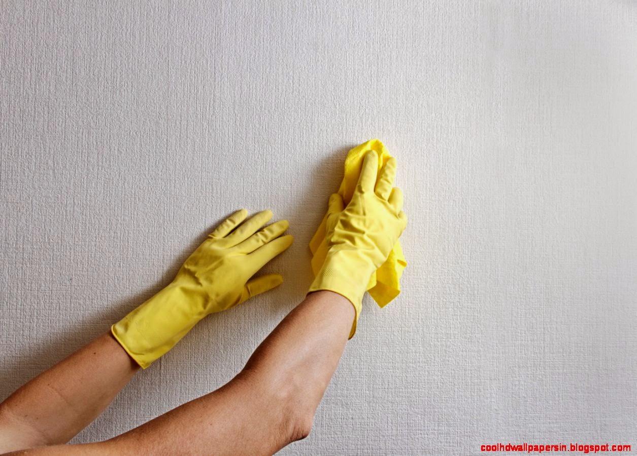 Read Online 5 Tips For Cleaning Painted Walls Zenith Painting
