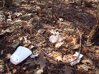 Image of waste in a park