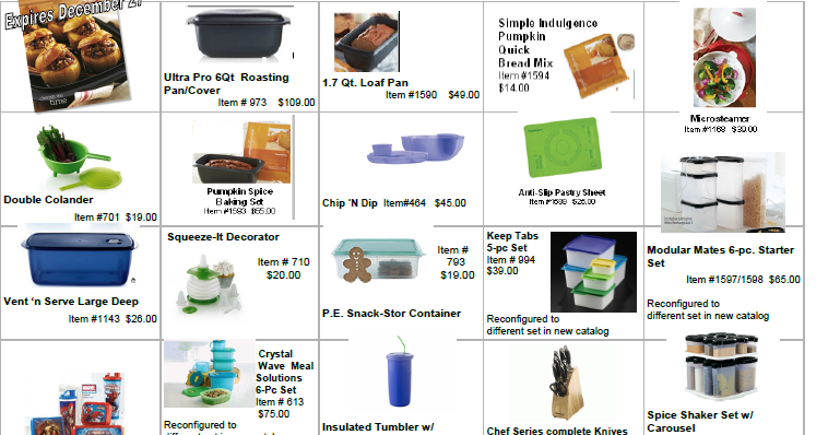 Inspiration CAN be found EVERYWHERE!: Discontinued Tupperware Fall/Holiday  Catalog