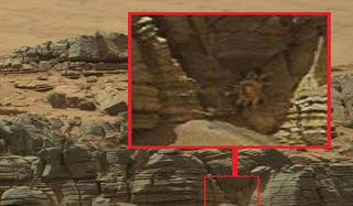 Mars'ta Görünenler Canlı Mı Mars'ta Görünenler Canlı Mı