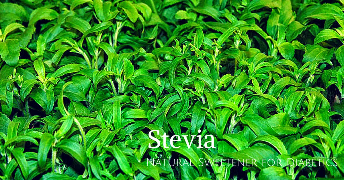 Stevia Sweetener