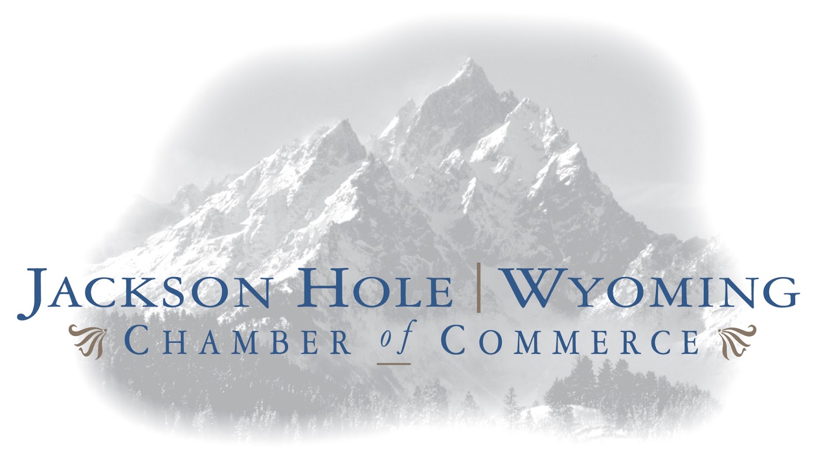 Jackson Hole Chamber of Commerce June 2015