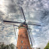 Windmills not so green for wildlife