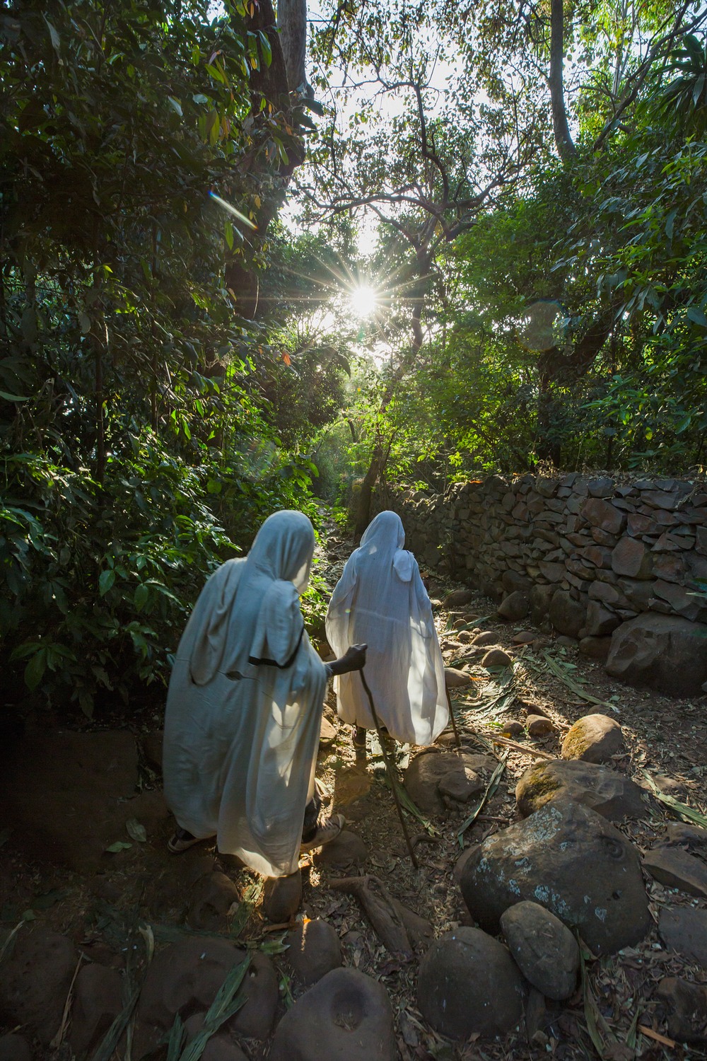 Ethiopia’s Church Forests