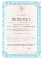 Лицензия МБДОУ "ДС №244 г. Челябинска"