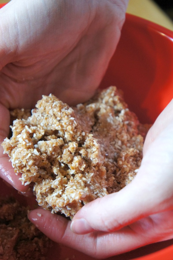 protein ball mix protein ball mix