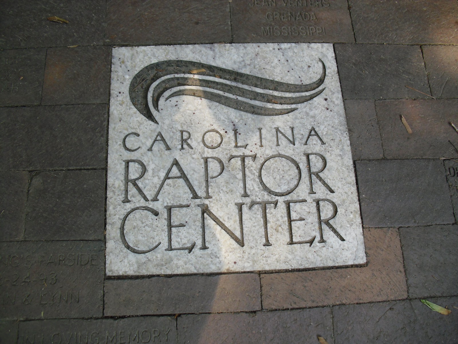 Travel NC With Kids: Carolina Raptor Center – See Eagles, Owls, Hawks ...