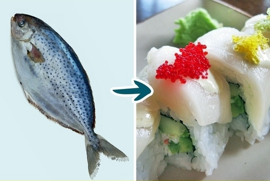 Cá sáp dầu Cá sáp dầu