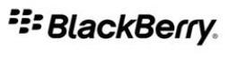 BlackBerry Enterprise Server 5.0 SP1 for Microsoft Exchange released