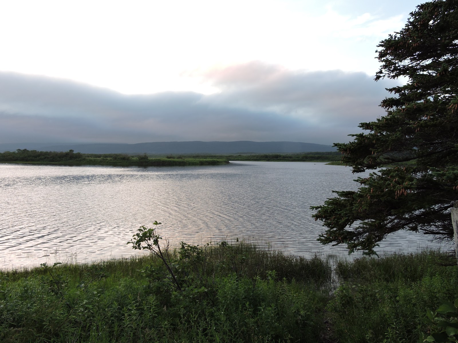Following the Barkers Friday July 15, 2016 Codroy Valley, Newfoundland, Canada