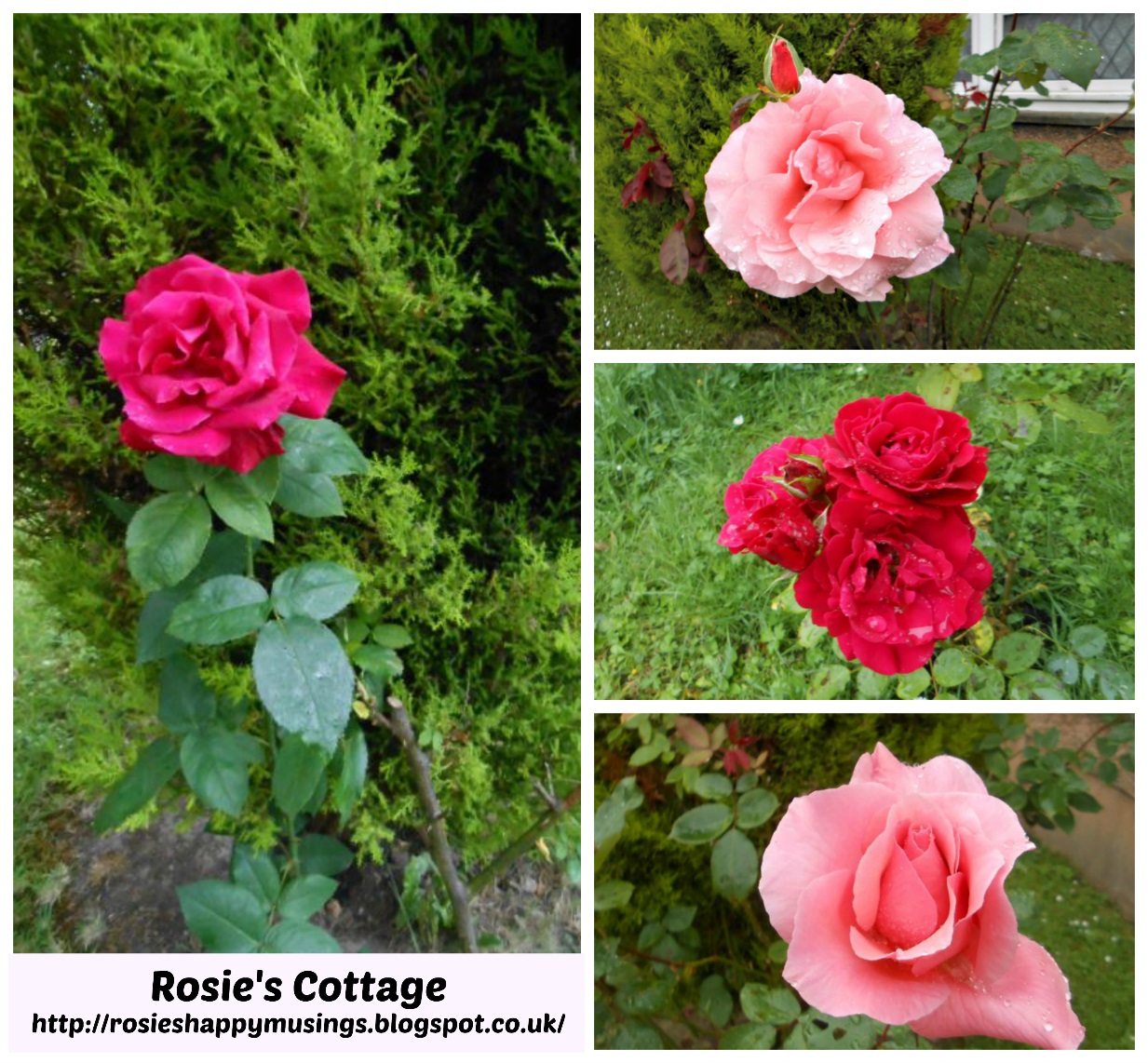 Rosie's Cottage: Happy Friday Honeys x