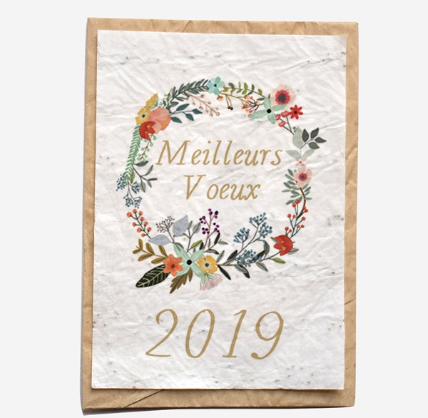 Carte Meilleurs voeux 2019 Carte Meilleurs voeux 2019