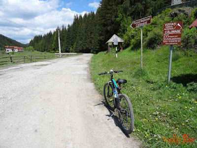 Parcul National Calimani