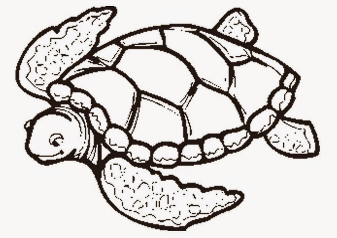 turtle free printable coloring pages coloring.filminspector.com