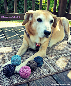 senior hound dog with yarn