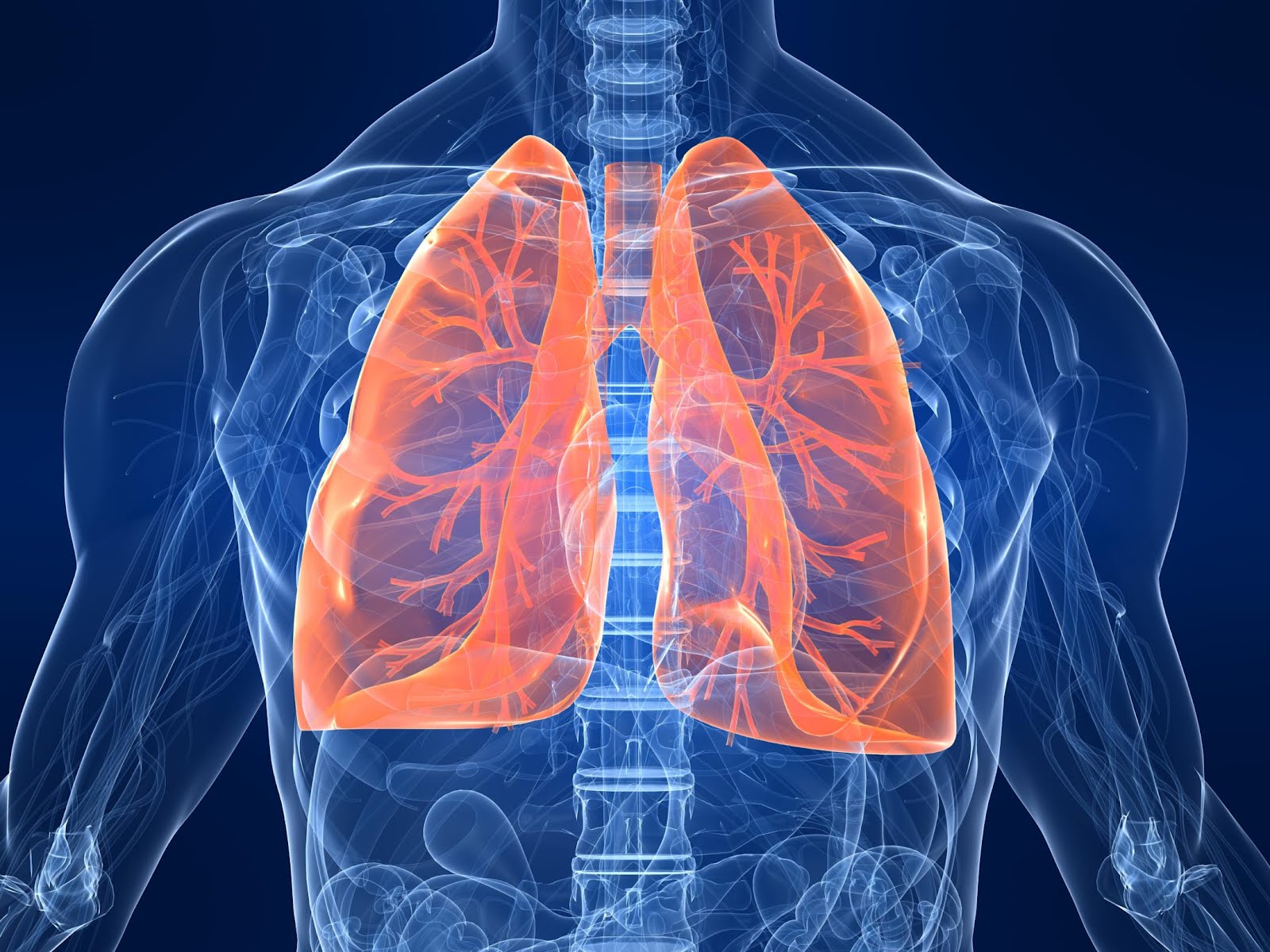 Penyakit peradangan pada selaput pembungkus paru-paru disebut